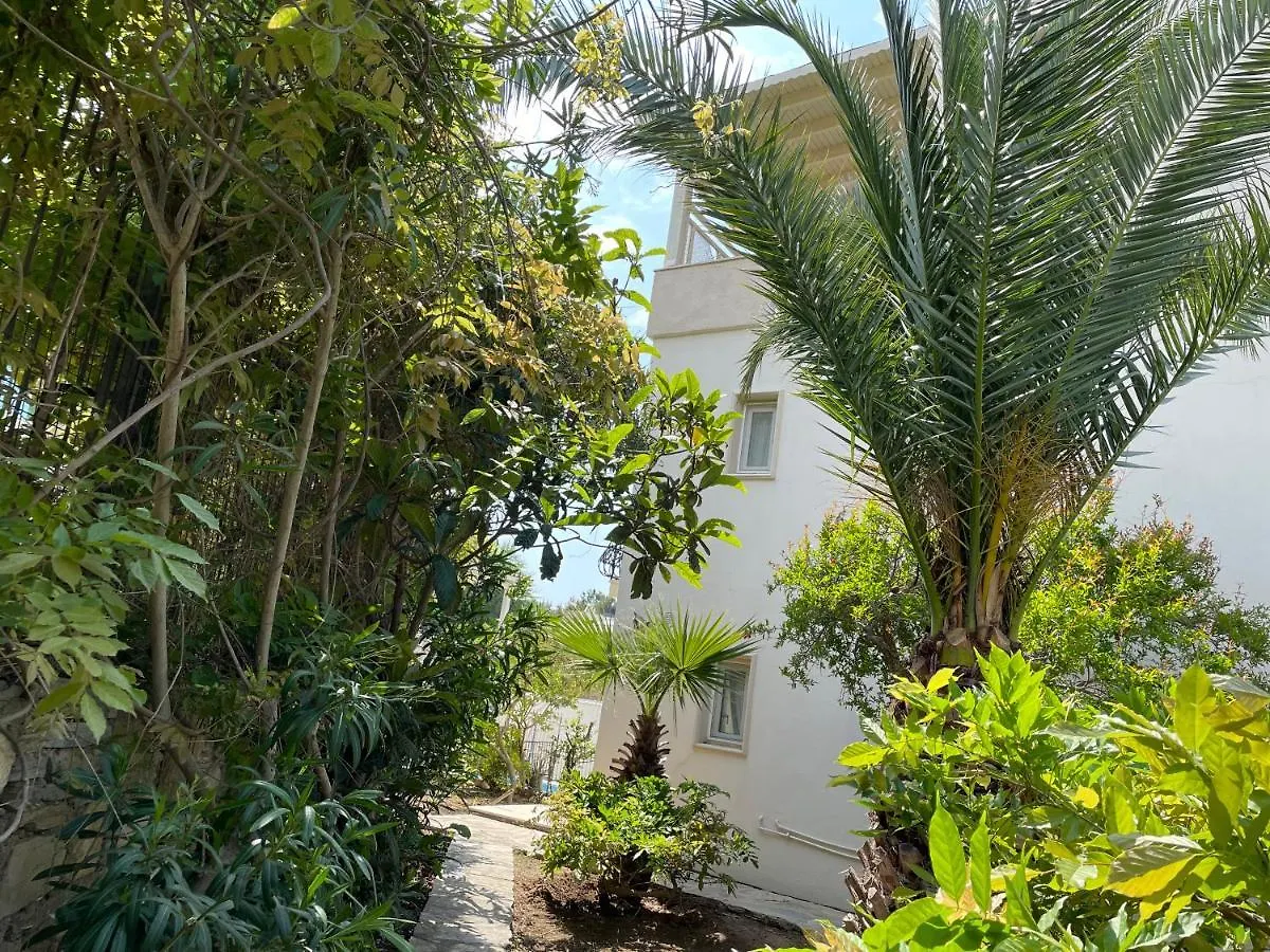 Feriehus Villa Tibet Yalıkavak Tyrkiet