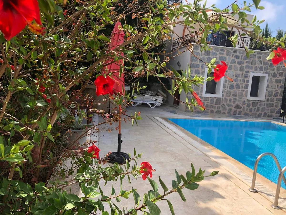 Villa Tibet Yalikavak 0*,  Turkey